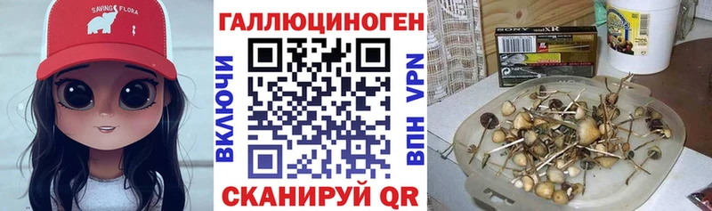 где купить наркоту Омутнинск Галлюциногенные грибы прущие грибы